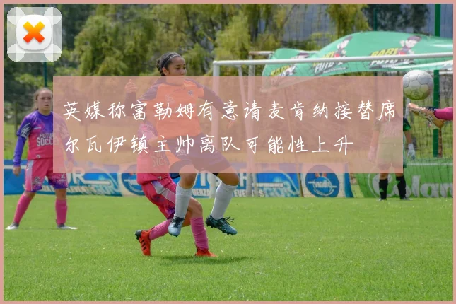 英媒称富勒姆有意请麦肯纳接替席尔瓦伊镇主帅离队可能性上升