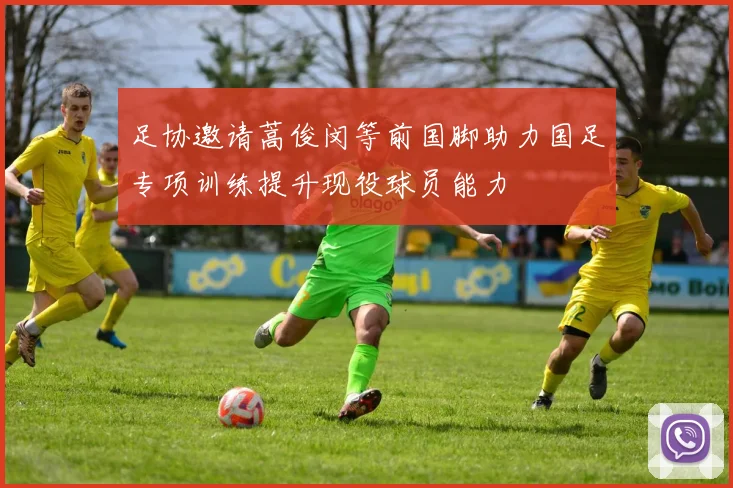 足协邀请蒿俊闵等前国脚助力国足专项训练提升现役球员能力